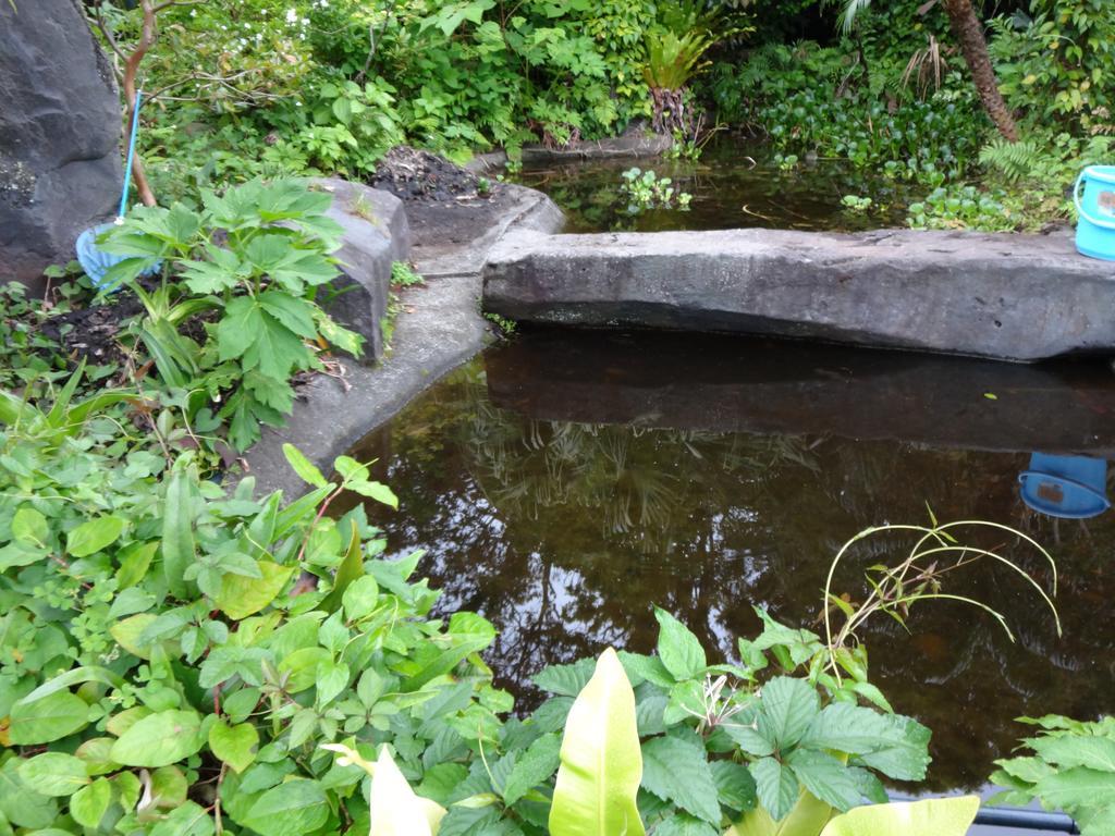 ホテルFunamiso 八丈町 エクステリア 写真